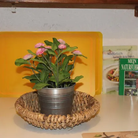 Apartment Grosszuegige Im Mecklenburgischen *